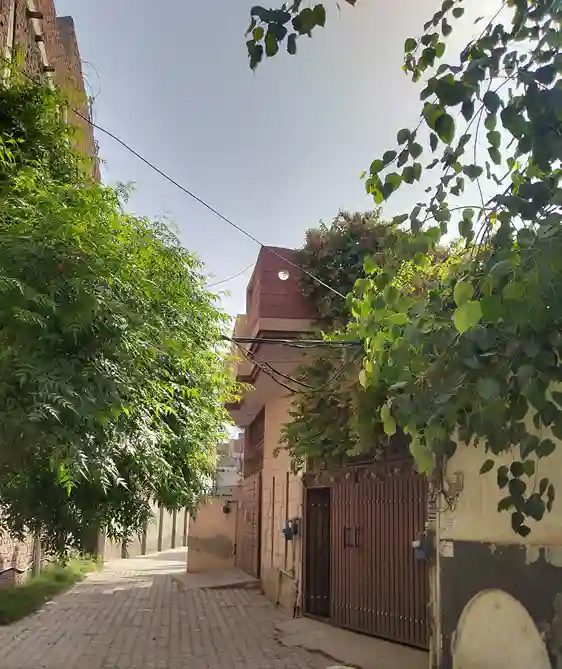 Gallery 11 Tulip Girls Hostel Peer Khursheed Colony Multan city. Image
