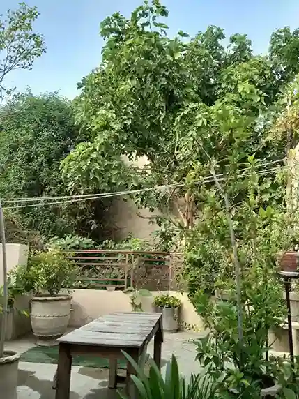 Gallery 20 Tulip Girls hostel first floor open space Multan, image