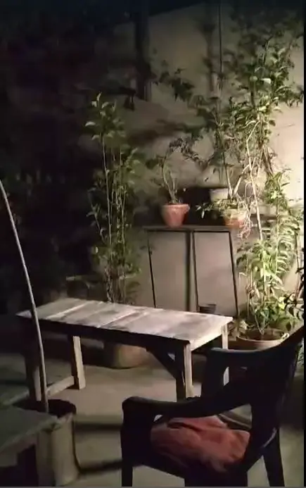 Gallery 14 Evening Bliss at Tulip Girls Hostel Multan, Image